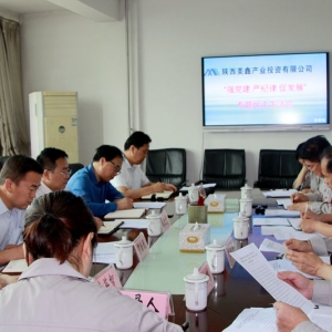 ˾_hoɡٰl(f)չI(lng)(do)ӌ}