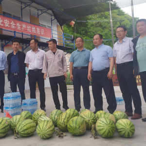 VI(y)˾_չο(wn)(dng)