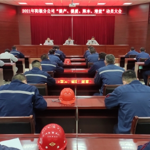 (yng)Oֹ˾_2021ꡰa(chn)|(zh)Ч(dng)T(hu)