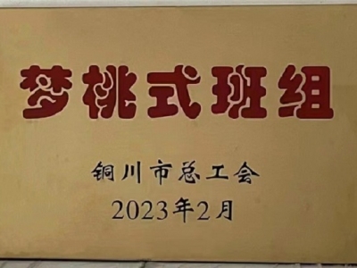 (yng)Oֹ˾܇(ch)g{(dio)ذ@2022~С(mng)ʽMsu(y)Q̖(ho)