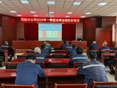 ꖘOֹ˾_չһȷɷҎ(gu)ȫӖ